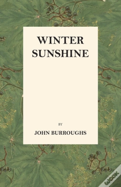 Capa do artigo Winter Sunshine
