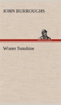 Winter Sunshine - Preview