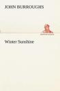 Winter Sunshine - Preview