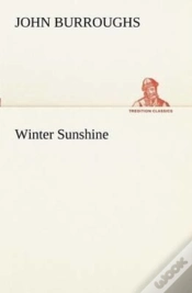 Capa do artigo Winter Sunshine