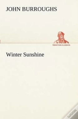 Capa do artigo Winter Sunshine