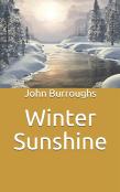 Winter Sunshine