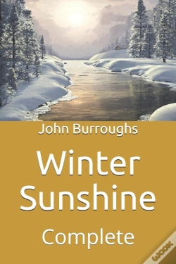 Capa do artigo Winter Sunshine