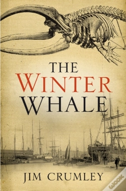 Capa do artigo Winter Whale