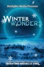 Winter Wonders - Preview