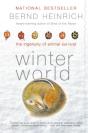 Winter World - Preview