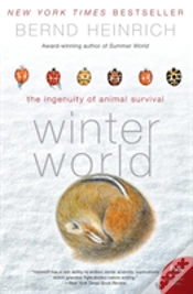 Capa do artigo Winter World