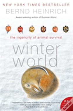 Capa do artigo Winter World