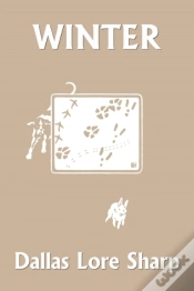 Capa do artigo Winter (Yesterday