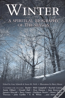 Capa do artigo Winter