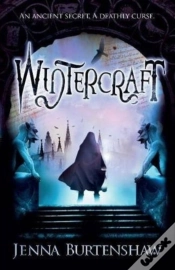Capa do artigo Wintercraft