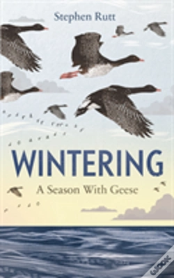 Capa do artigo Wintering