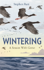 Wintering - Preview