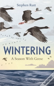 Capa do artigo Wintering