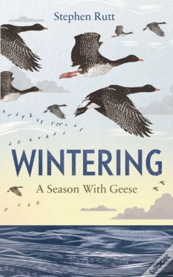 Capa do artigo Wintering