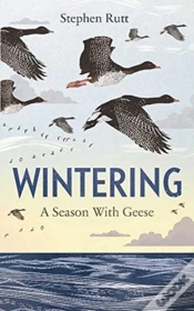 Capa do artigo Wintering