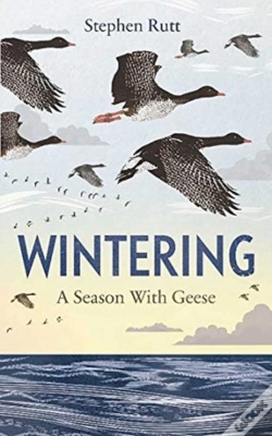 Capa do artigo Wintering
