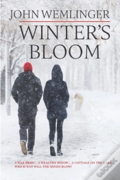 Capa do artigo Winter