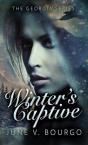 Winter'S Captive - Preview