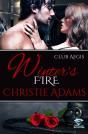Winter'S Fire - Preview