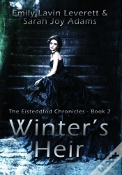 Capa do artigo Winter
