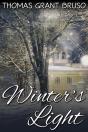 Winter'S Light - Preview