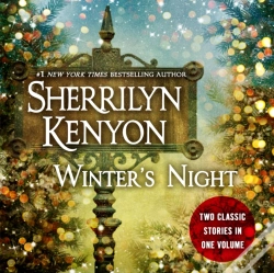 Capa do artigo Winter'S Night