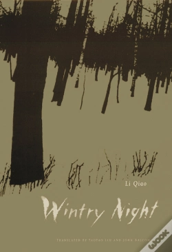 Capa do artigo Wintry Night