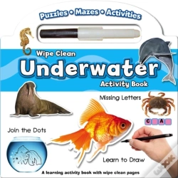 Capa do artigo Wipe Clean Activity Book: Numbers