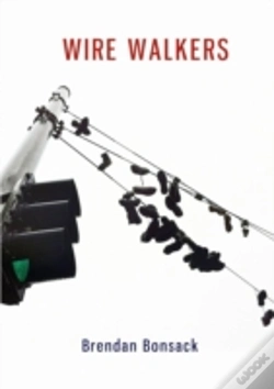 Capa do artigo Wire Walkers