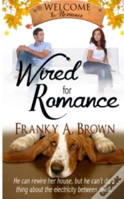 Capa do artigo Wired For Romance