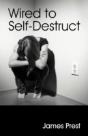 Wired To Self Destruct - Preview