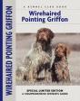 Wirehaired Pointing Griffon - Preview