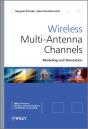 Wireless Multi-Antenna Channels - Preview