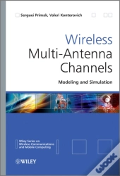 Wireless Multi-Antenna Channels