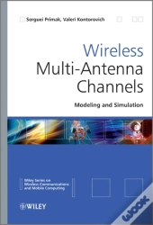 Wireless Multi-Antenna Channels