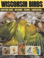 Wisconsin Birds - Preview