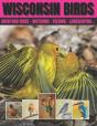 Wisconsin Birds - Preview