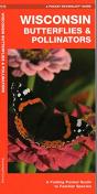 Wisconsin Butterflies & Pollinators - Preview