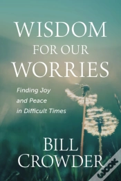 Capa do artigo Wisdom For Our Worries