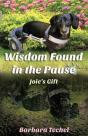 Wisdom Found In The Pause - Preview