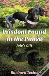 Wisdom Found In The Pause