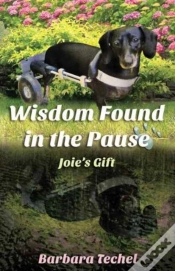 Capa do artigo Wisdom Found In The Pause