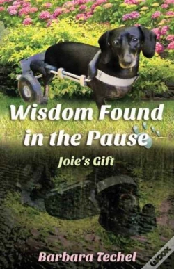Capa do artigo Wisdom Found In The Pause