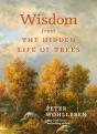 Wisdom From The Hidden Life Of Trees - Preview