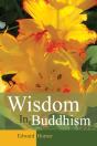 Wisdom In Buddhism - Preview