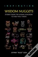 Wisdom Nuggets