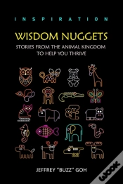Capa do artigo Wisdom Nuggets