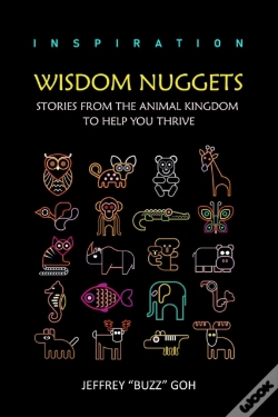 Capa do artigo Wisdom Nuggets