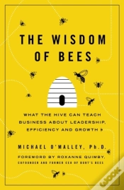 Capa do artigo Wisdom Of Bees